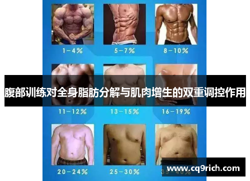 腹部训练对全身脂肪分解与肌肉增生的双重调控作用